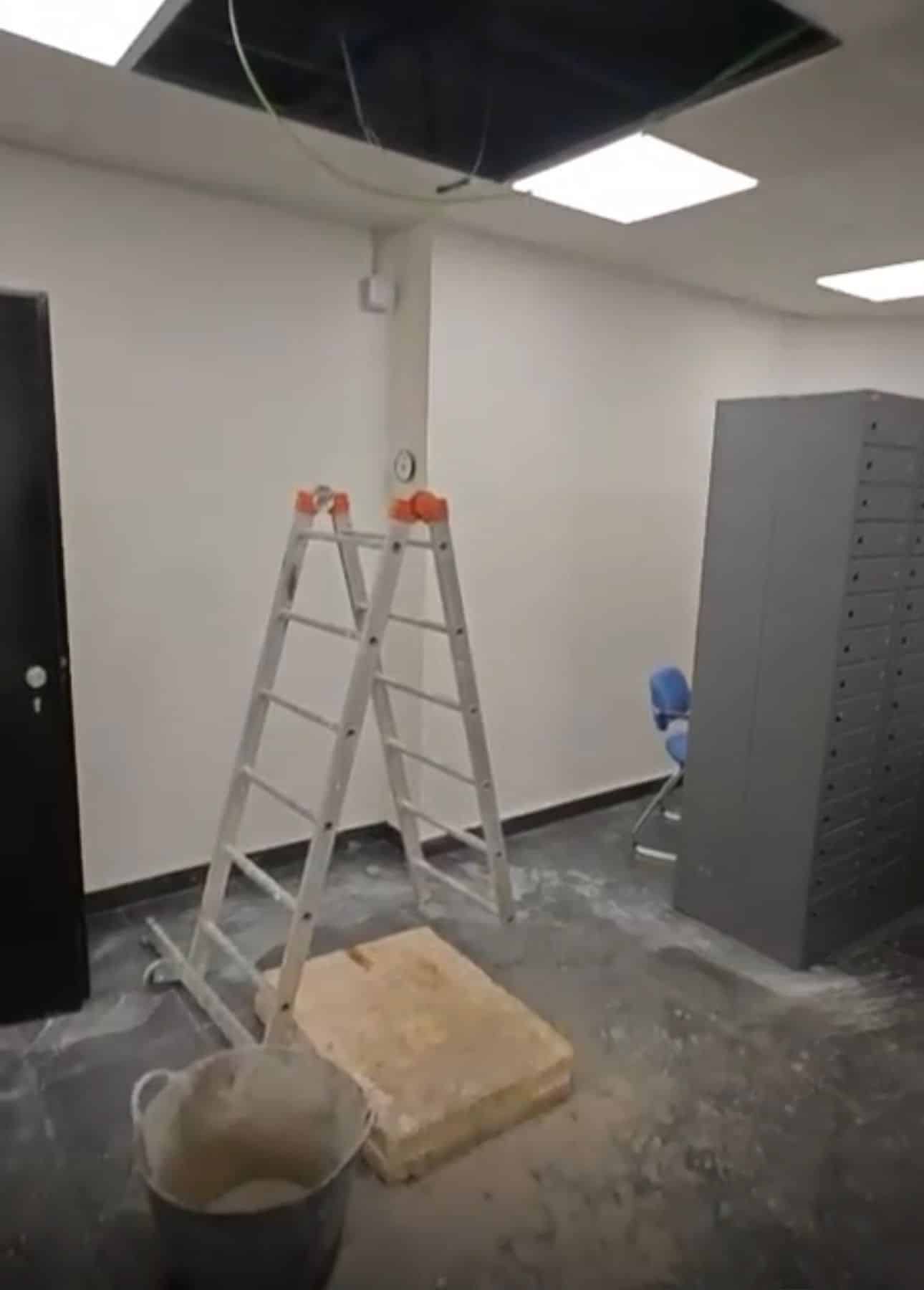 Portada 6 Placeholder