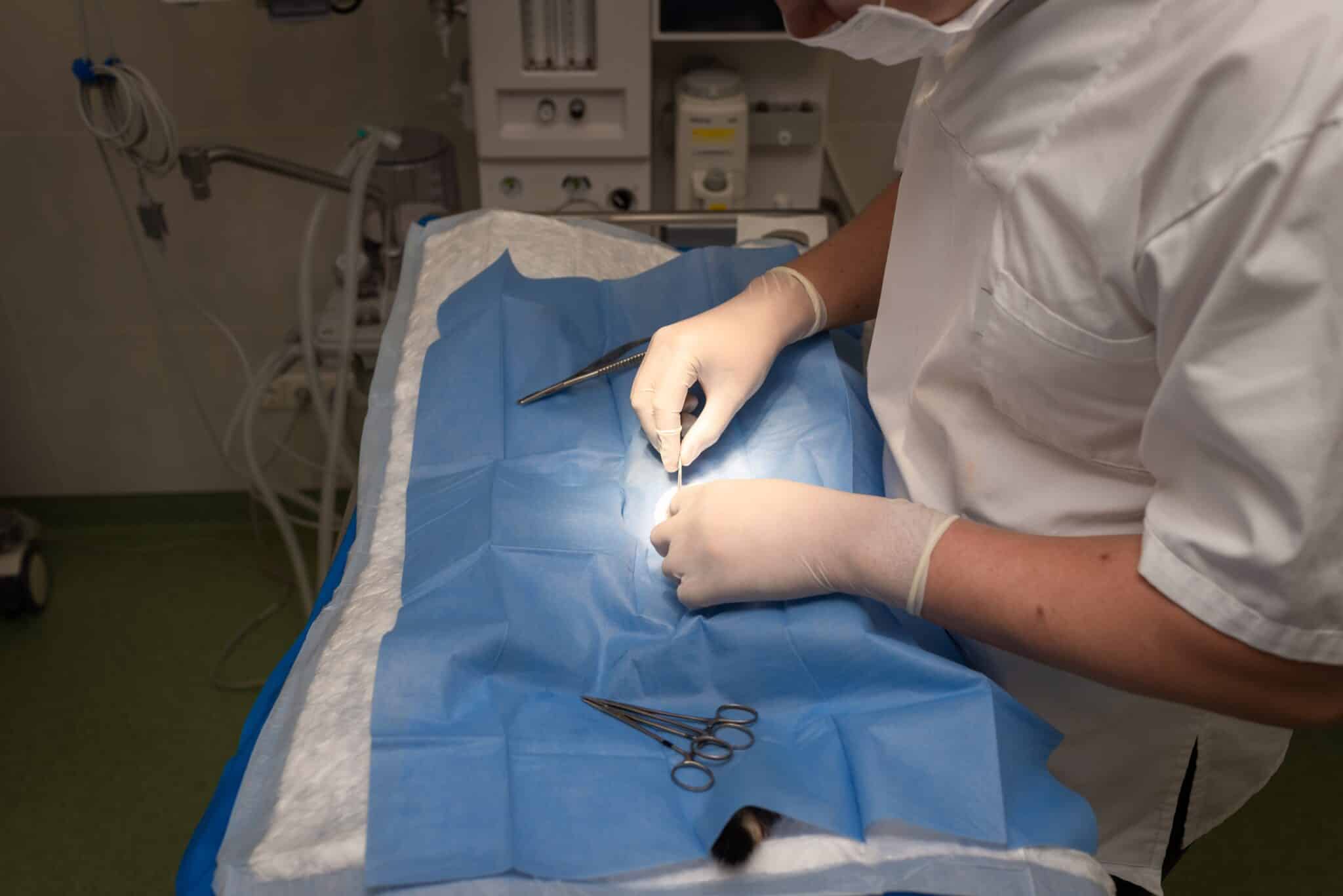 Portada 12 Placeholder