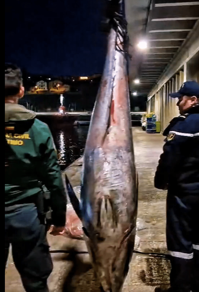 Portada 11 Placeholder