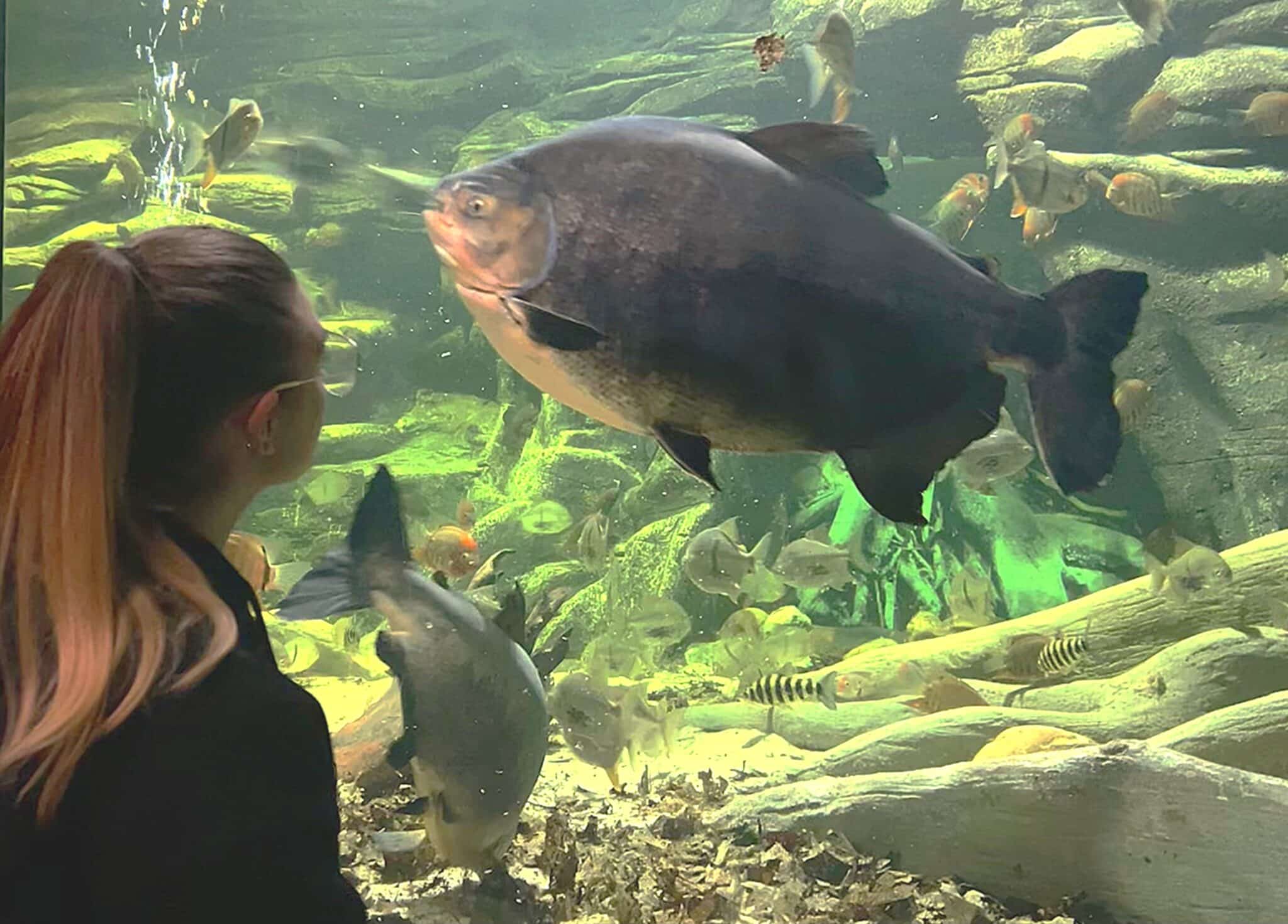 Portada 10 Placeholder