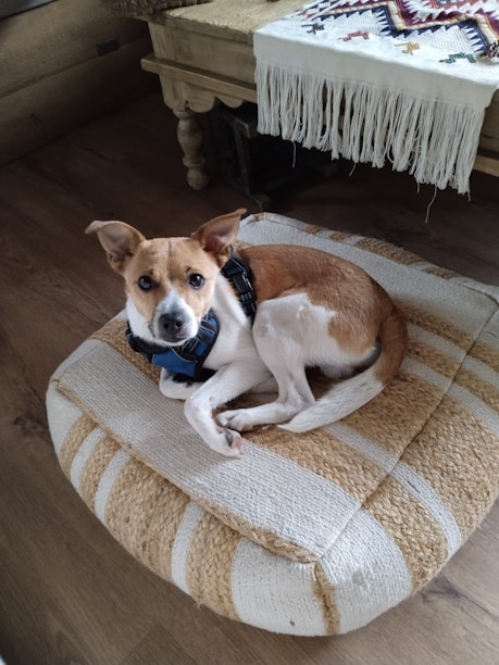 Portada 7 Placeholder