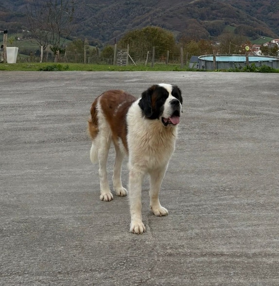 Portada 25 Placeholder