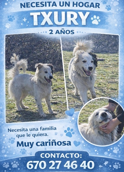 Portada 7 Placeholder