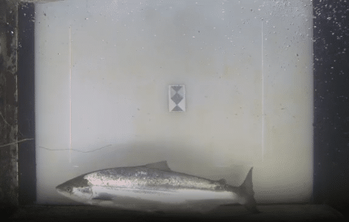 Portada 1 Placeholder