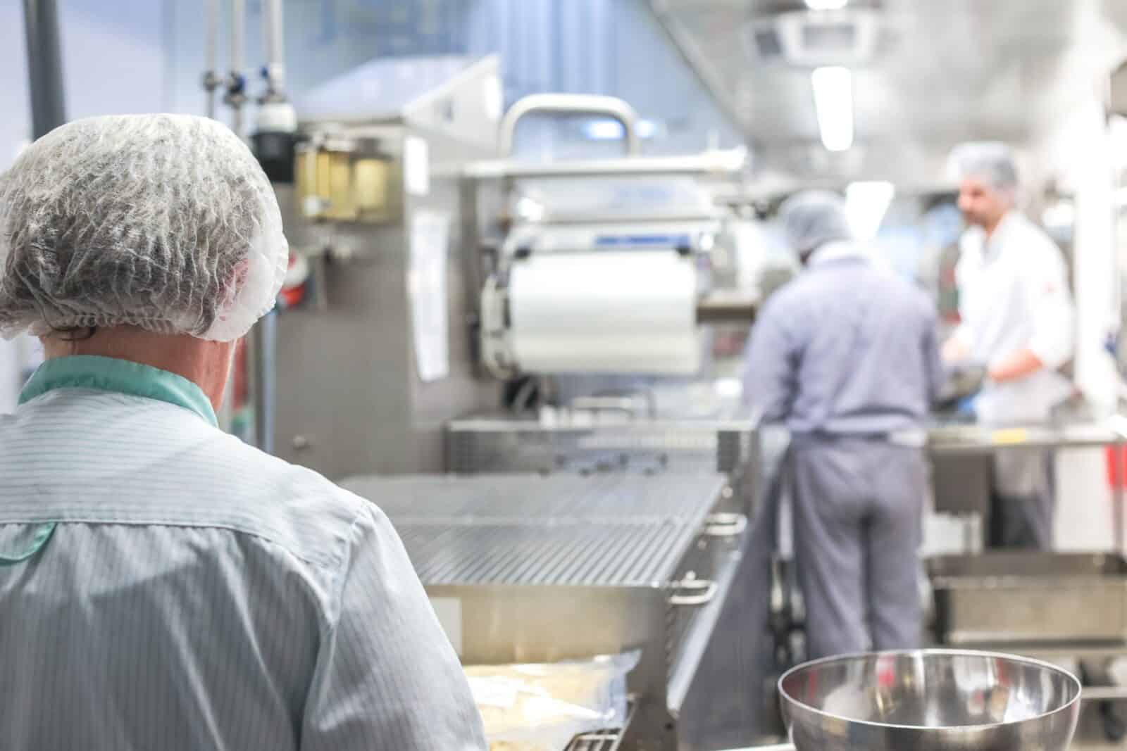 Nuevas ayudas a industria, gastronomía y turismo en Gipuzkoa 3 vitesca big kitchen 2765065 Nuevas ayudas a industria, gastronomía y turismo en Gipuzkoa