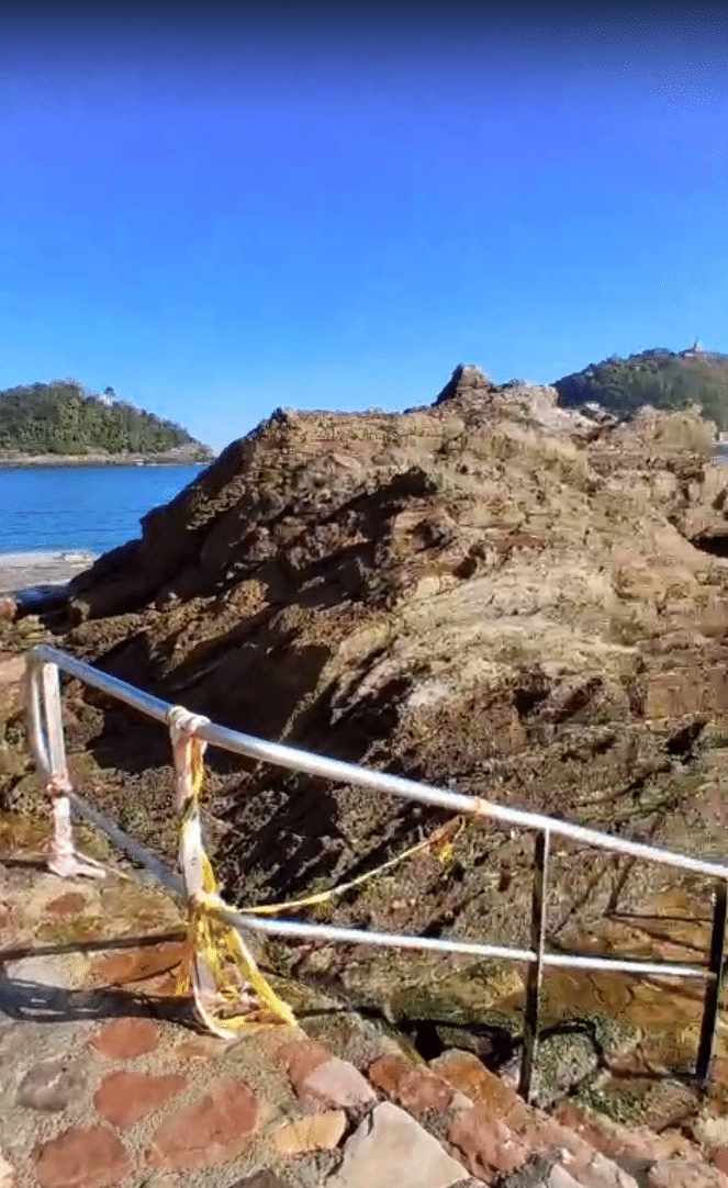 Captura de pantalla 2026 04 04 215319 "Plásticos en el Pico del loro... total dejadez"