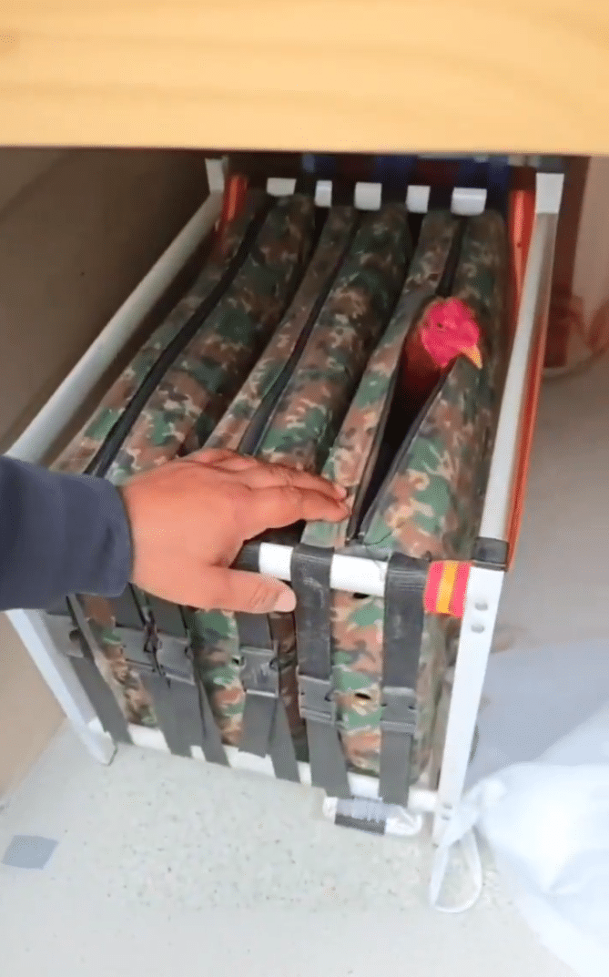 Portada 13 Placeholder