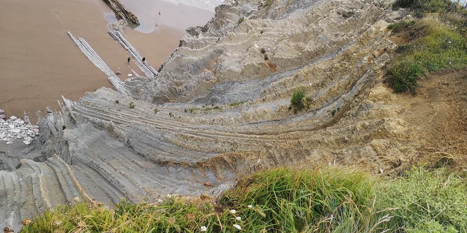 Portada 11 Placeholder