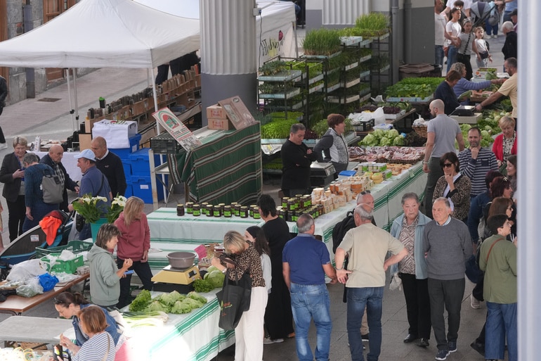 Ordizia2 1 Las ovejas vuelven a tomar Ordizia en el Artzain Eguna