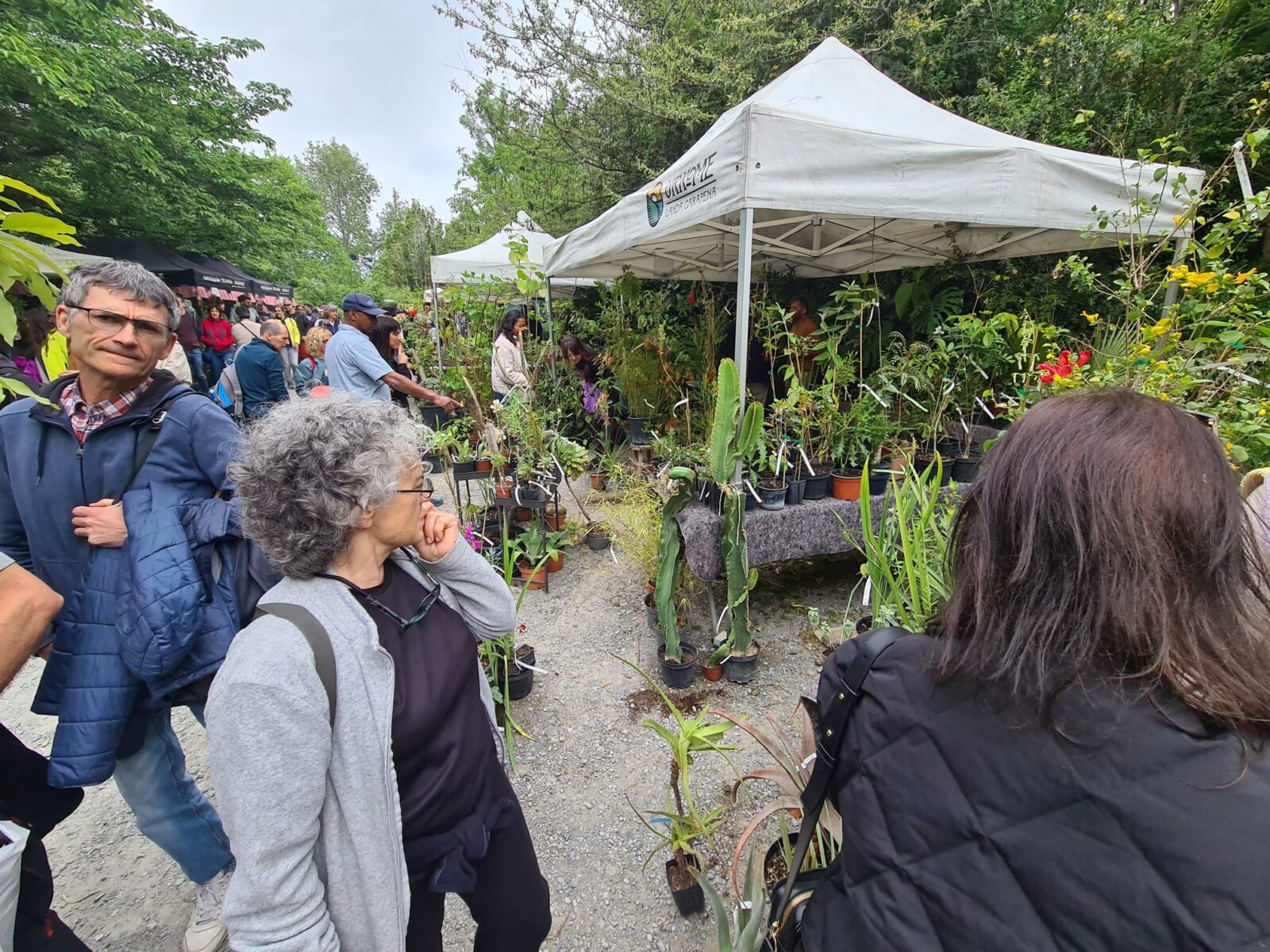 WhatsApp Image 2026 04 25 at 13.21.38 1 (Fotos) La feria de plantas de Iturraran llena Aia de vida este fin de semana
