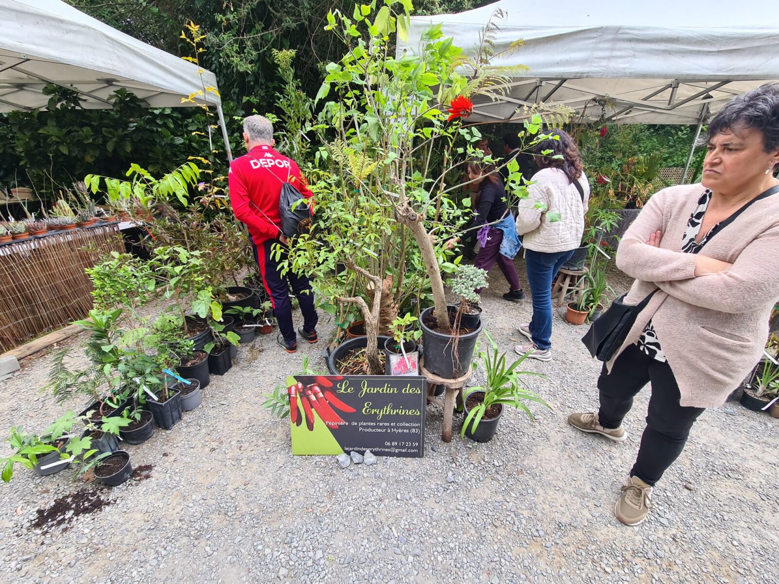 WhatsApp Image 2026 04 25 at 13.21.39 2 (Fotos) La feria de plantas de Iturraran llena Aia de vida este fin de semana