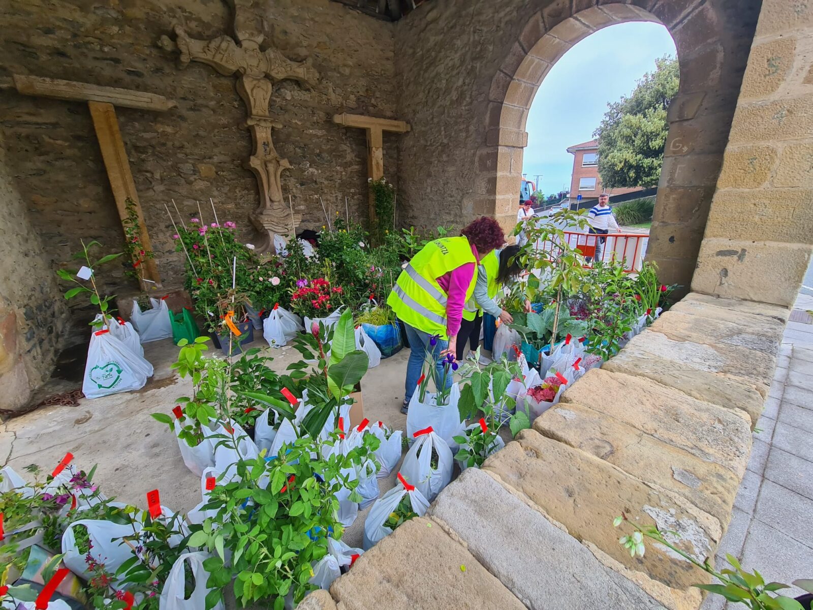 WhatsApp Image 2026 04 25 at 13.26.16 (Fotos) La feria de plantas de Iturraran llena Aia de vida este fin de semana