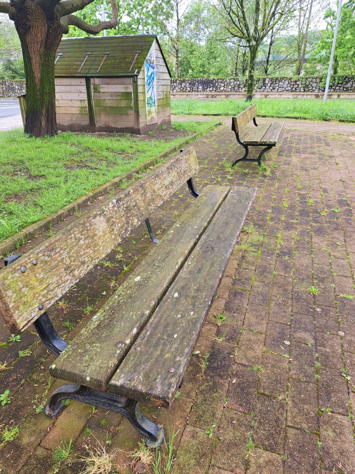 bancos Martutene denuncia el abandono de su parque con la plantación de un “guardián”