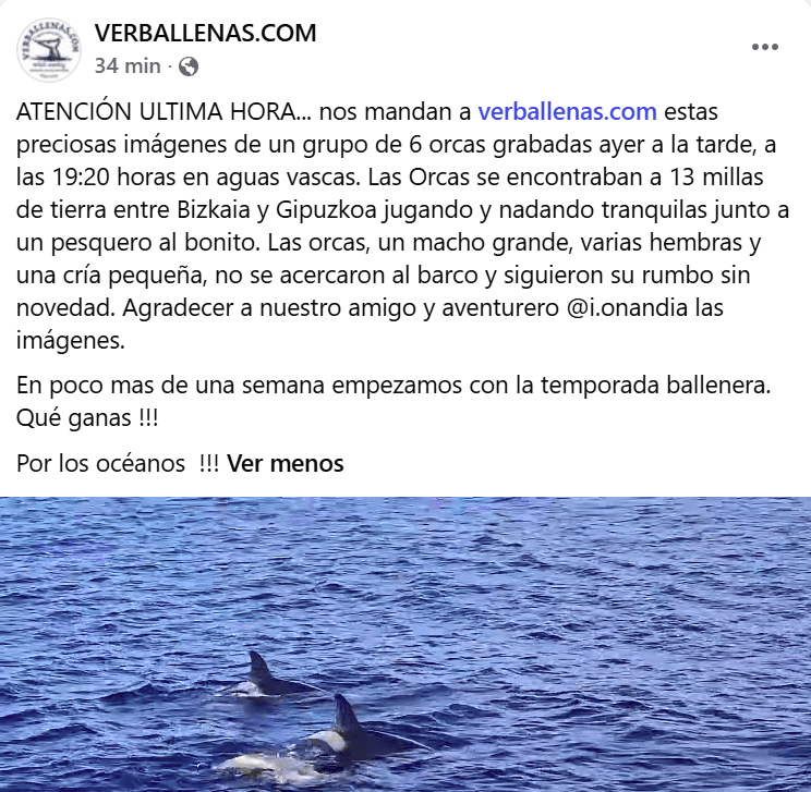 FB.jpg FB.jpg Seis orcas avistadas entre Gipuzkoa y Bizkaia
