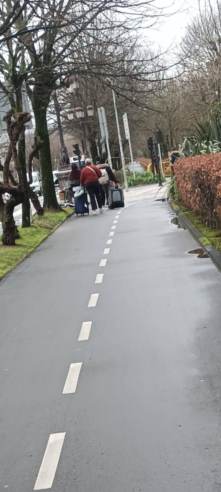 1784110320460 1784110320460 1 Una ciclista documenta durante cuatro años el uso indebido de los bidegorris de Donostia con 300 fotos