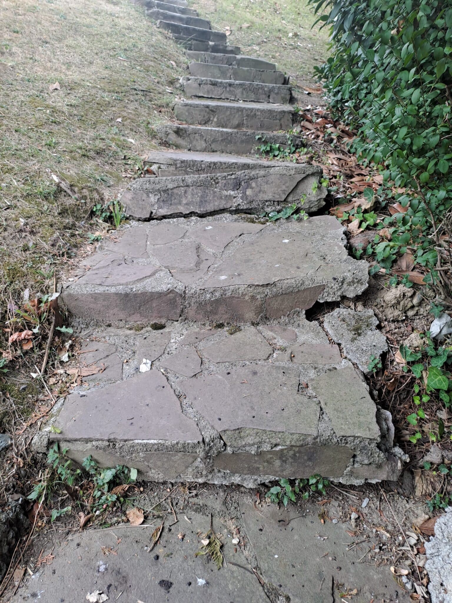 Lantxabe sostiene que las deterioradas escaleras entre Aiete y Bera-Bera son de competencia municipal 1 lantxabe scaled Lantxabe sostiene que las deterioradas escaleras entre Aiete y Bera-Bera son de competencia municipal